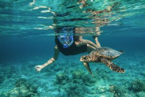 Baros Maldives präsentiert die neue Eco Explorer Experience