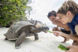Silhouette Cruises: Außergewöhnliche Expedition zum Seychellen-Atoll Aldabra