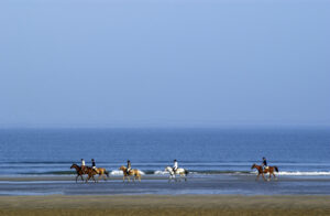 Hoch zu Ross durch Watt und Wiesen