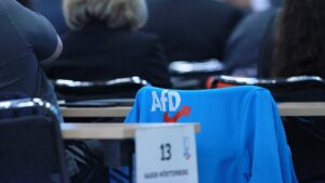 Insa: AfD verliert erstmals seit vier Monaten