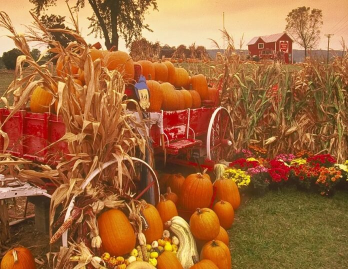 Bunte Herbstabenteuer in Virginia