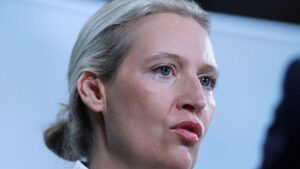 Deutliche Kritik an Weidel nach "Sommerinterview"