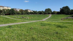 Berlin: Bezirksbürgermeisterin gegen Umzäunung des Görlitzer Parks