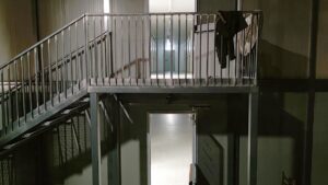 Lindner-Berater kritisiert Länderforderungen bei Flüchtlingskosten