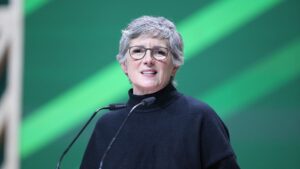 Haßelmann lehnt Neuwahlen ab