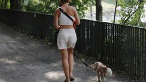 2023 wird in Deutschland heißestes Jahr seit Messbeginn