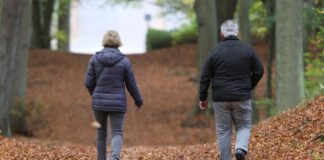 Chefin von Bundessozialgericht erwartet späteren Renteneintritt