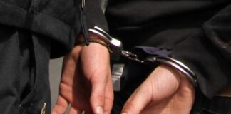 Mutmaßliches Hamas-Mitglied auf A17 festgenommen