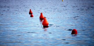 Monopolkommission warnt vor Abhängigkeit bei Unterseekabeln