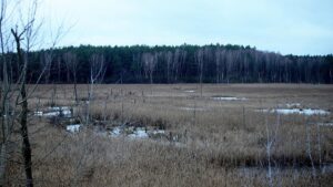 Klimaforscher Edenhofer hält Negativemissionen für nötig