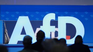 SPD-Innenminister wollen schärfere Kontrolle von AfD-Mitarbeitern