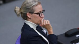 AfD-Treffen: Politologen sehen Weidel-Vertrauten als "Bauernopfer"