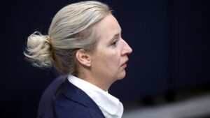 AfD: Entlassung von Weidels Referent nicht wegen Potsdamer Treffen