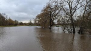 FDP trotz Hochwasserschäden gegen Aussetzen der Schuldenbremse
