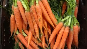 Überdurchschnittliche Gemüseernte im Jahr 2023