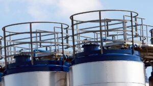 Bundesregierung uneins über mögliche Rosneft-Enteignung