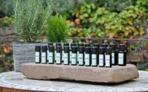 Frühlingserwachen: JOILS‘ Tipps für Wohlbefinden und Lebenslust