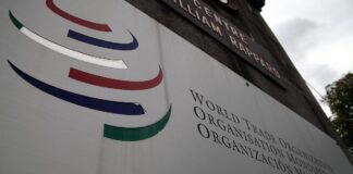 WTO-Generaldirektorin sieht Handelssystem trotz Trump stabil