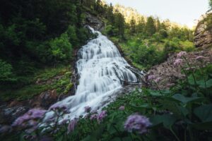 Offline-Urlaub, Wild Places und eine Safari in den Bergen