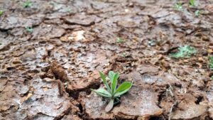 Amtsärzte rechnen mit Einschränkungen beim Trinkwasser im Sommer