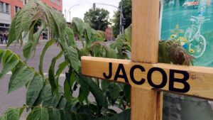 Zahl der Verkehrstoten 2024 gesunken