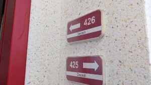 Kubicki beklagt sinkendes Bildungsniveau