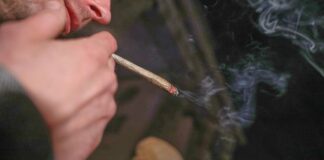 Drogenbeauftragter drängt auf Nachbesserungen am Cannabisgesetz
