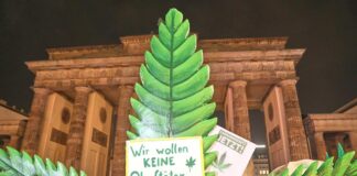 Streeck erwartet "sehr gemischtes Bild" bei Cannabis-Evaluierung