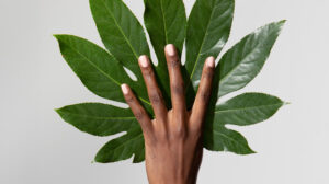 gitti Conscious Beauty startet erstmalig eine Crowdinvesting-Kampagne