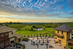 Come Find Your Virginia