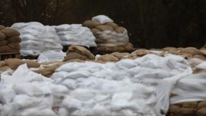 Umweltministerin fordert Verfassungsänderung für Hochwasserschutz