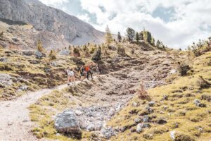 Sechs herbstliche Auszeiten in Südtirol