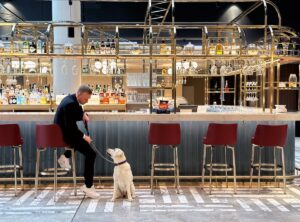 Hundefreundliche Hotels bei Marriott Bonvoy: Von himmlischen Hundebetten und pfotastischen Leckereien bis hin zu „Dogtails“