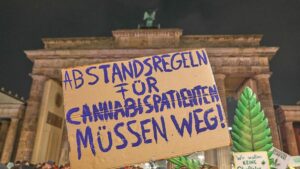 Ermittler warnen vor zunehmender Gewalt wegen Cannabis