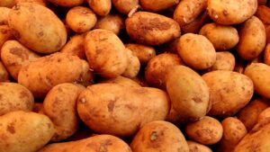 Landwirtschaftliche Erzeugerpreise steigen deutlich