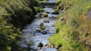 EU-Bericht: Zwei Drittel der Flüsse und Seen in schlechtem Zustand