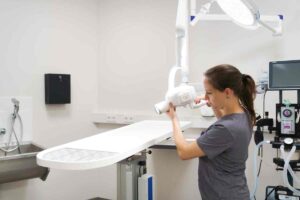 Startup filu eröffnet seine vierte Tierarztpraxis in Hamburg