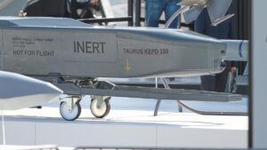 Roth wirbt für Einsatz weitreichender Waffen