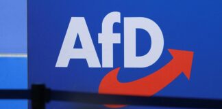 Bericht: AfD stellte 7.000 Anfragen mit Sicherheits-Bezügen