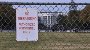 Trump benennt weitere Regierungsmitglieder – Elon Musk auch dabei