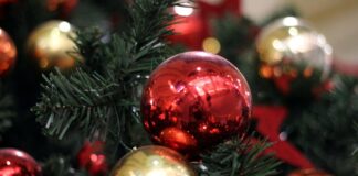 Mehrheit will sich zu Weihnachten nicht mit KI beschäftigen