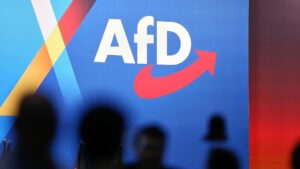 Ökonom warnt vor wirtschaftlichen Risiken bei AfD-Regierung