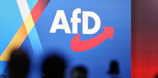 Ökonom warnt vor wirtschaftlichen Risiken bei AfD-Regierung