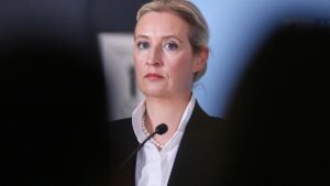Insa: AfD und FDP verlieren – Linke legt zu
