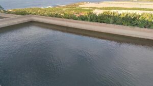 Wasserwissenschaftler: Wasser könnte Beitrag zu Weltfrieden leisten