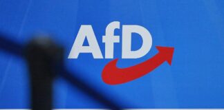 Ökonomen warnen vor Gesprächen mit der AfD