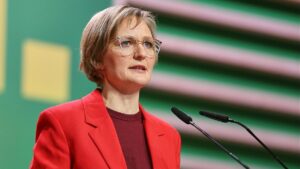 Reaktion auf US-Zölle: Brantner pocht auf Vorgehen der EU gegen Musk