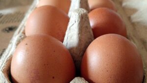Kein Eiermangel zu Ostern: Geflügelwirtschaft gibt Entwarnung
