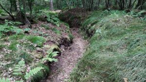 Weltkriegsende: Ukraine warnt vor Feiern mit russischen Vertretern