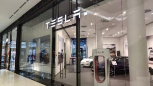 Linkspartei reagiert mit Schadenfreude auf Gewinneinbruch bei Tesla